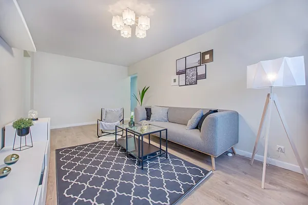 Salón ordenado con sofá gris, alfombra y cuadros en la pared