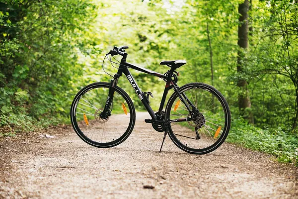 Bicicleta de montaña aparcada en un sendero forestal